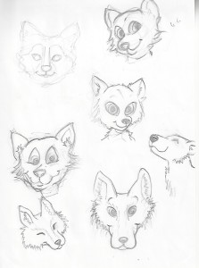 Wolf-proces-1