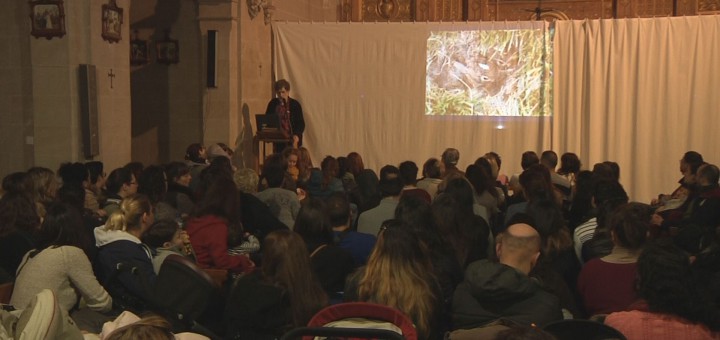 frame carles gonzalez