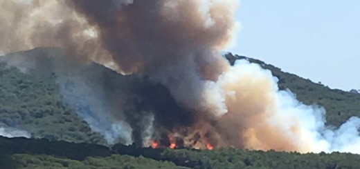 incendi_blanes_vilar