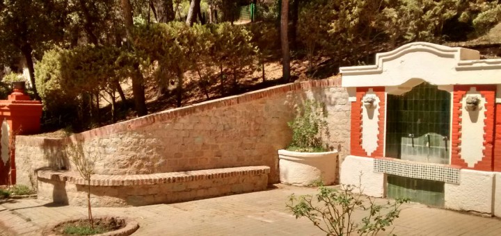 Font dels Lleons del Parc Dalmau, aquest matí