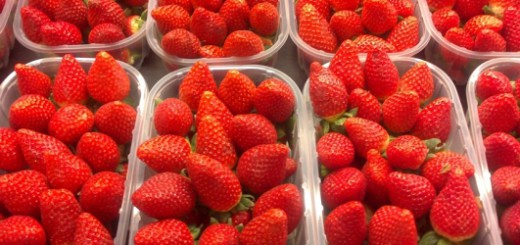 Fresas-de-febrero-620x250