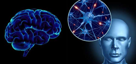 Parkinson-inflamacion-cerebro