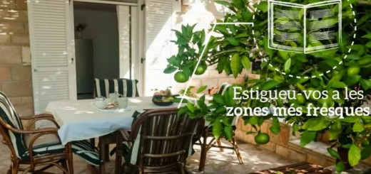 CAMPANYA CONSELLS CONTRA LA CALOR
