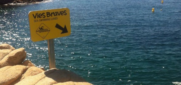 vies_braves