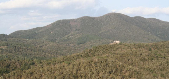 Paratge del massís del Montnegre i Corredor en una imatge d’arxiu