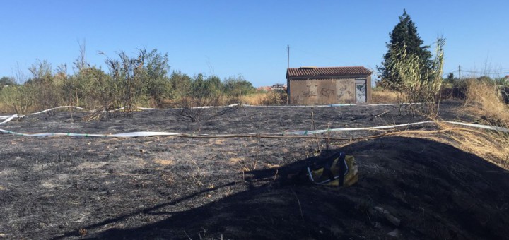 Imatge de la zona cremada a Pineda de Mar, el 3 de juliol
