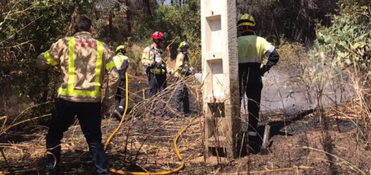 Efectius dels Bombers treballant en l'extinció de l'incendi a Calella al juliol