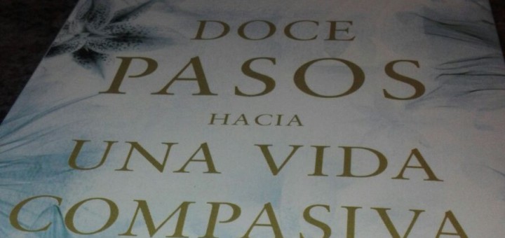 12 pasos
