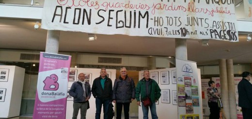 assemblea confavc