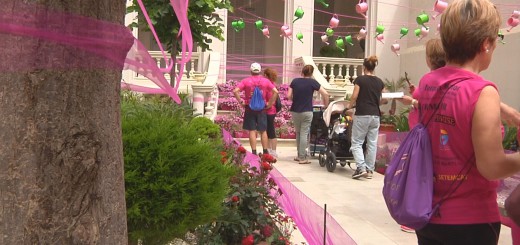 moments de flors 2