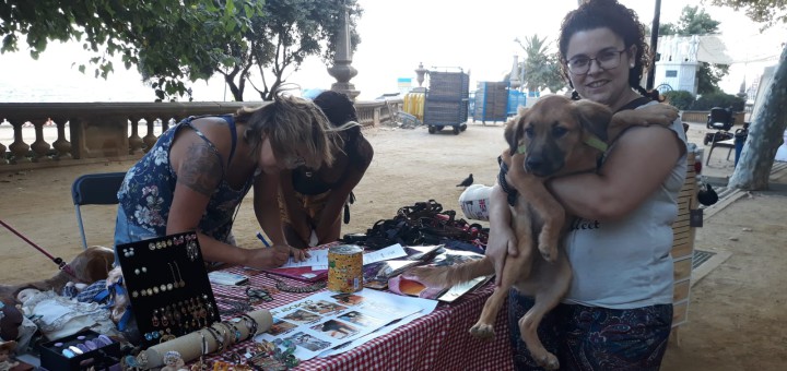 La parada de Salvando Peludos a la Fira Animalista, on han donat en adopció tres gossos