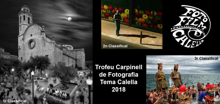 carpinell2018