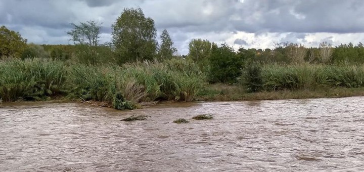 Imatge del riu Tordera del passat 15 d'octubre (FOTO: Anna Llopart Gumbau)