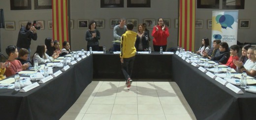 consell d'adolescents00000000
