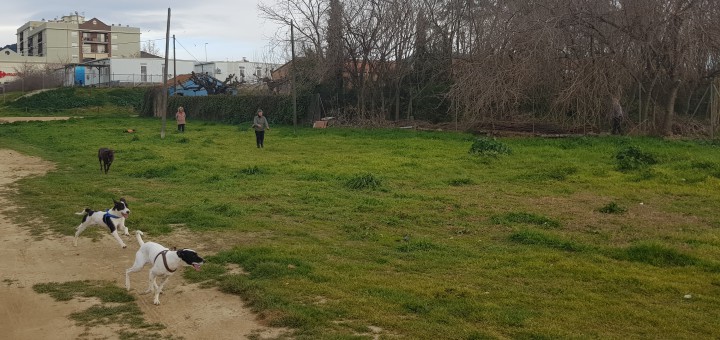 Terrenys on es crearà la zona d'esbarjo per a gossos a Poblenou