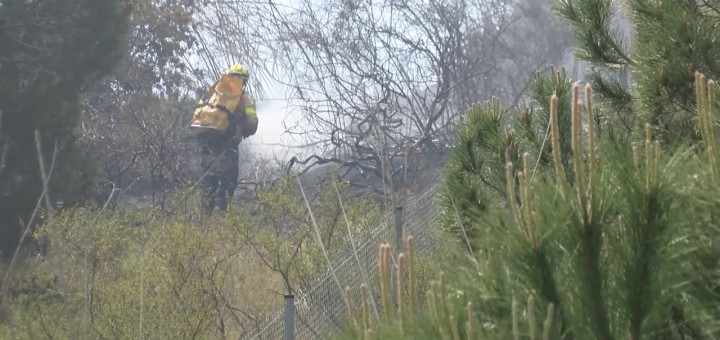 [Vídeo] Un incendi crema una zona forestal a tocar de l’autopista entre Calella i Sant Pol