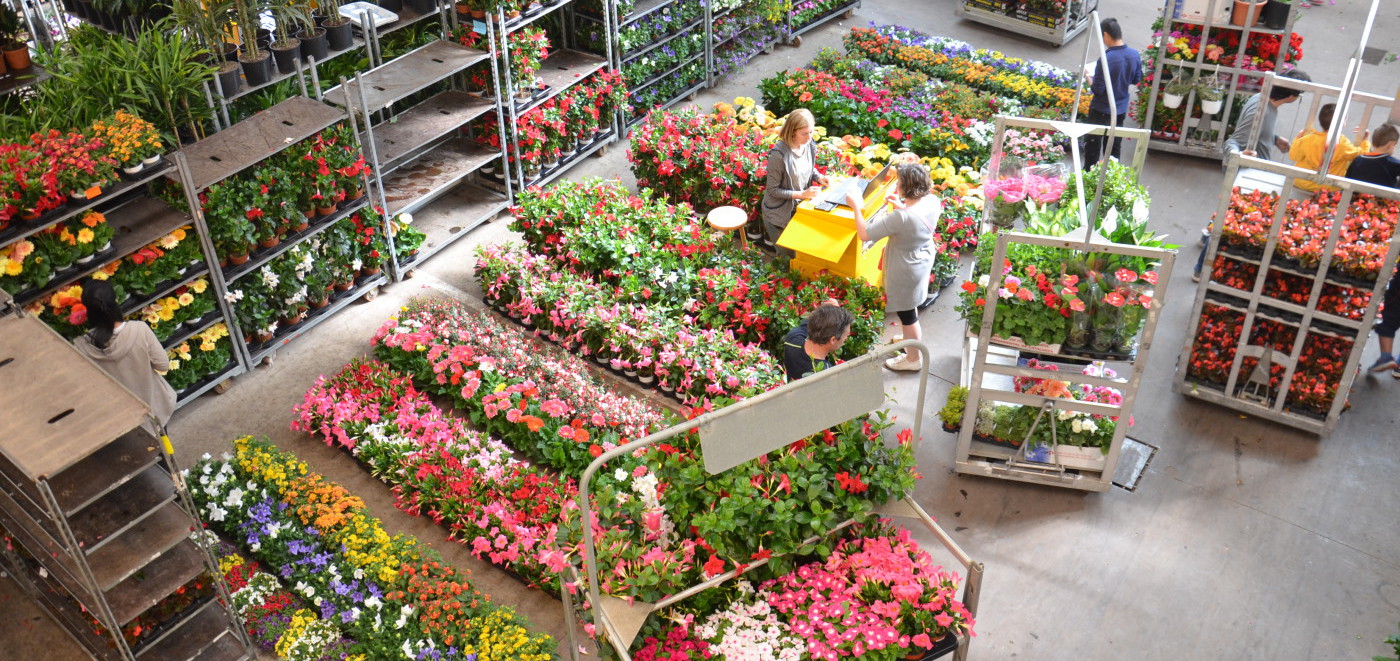 El Mercat de la Flor i la Planta Ornamental parla d’una crisi El Mercat de la Flor i la Planta Ornamental parla d’una crisi