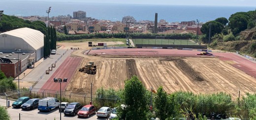Muntanyeta gespa