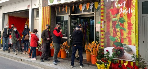 sant jordi web 5