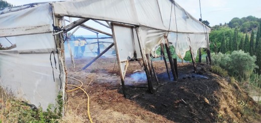 L’incendi va afectar una àrea de matolls i part d’un hivernacle propietat de la família de floristers Bancells (Foto: Policia Local)