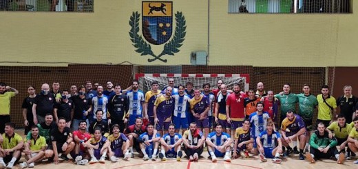 Imatge Handball WEB