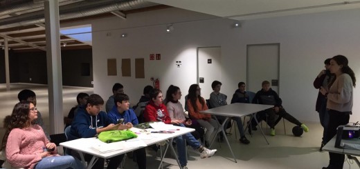 Consell d'Adolescents 2020.