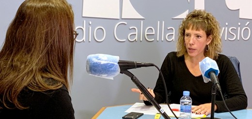 freixas a la ciutat web