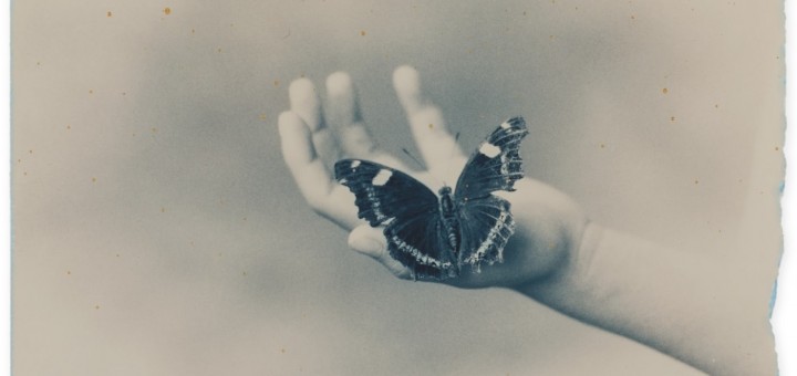Masao Yamamoto