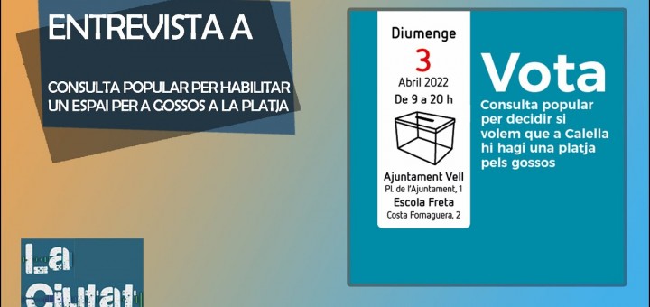 [Vídeo] Consulta platja de gossos