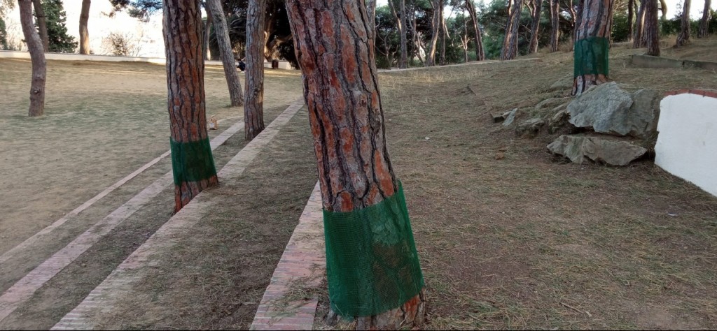 malles pins parc dalmau