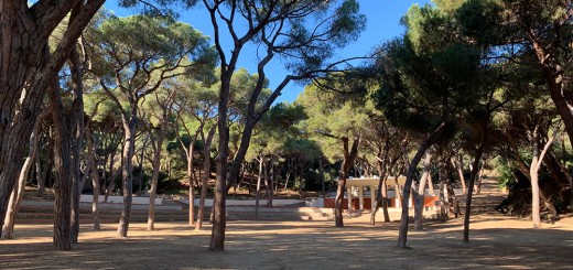 parc dalmau ok web