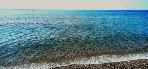 EDITATS_MAR 4_04072022