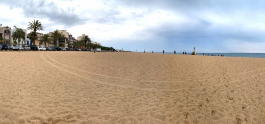 EDITATS_PLATJA DE GOSSOS_07072022