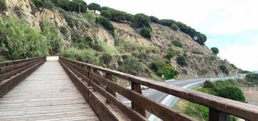 PONT DE FUSTA JULIOL 22